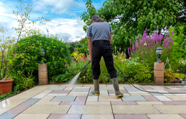Animal Enclosure Cleaning in East Wenatchee, WA
